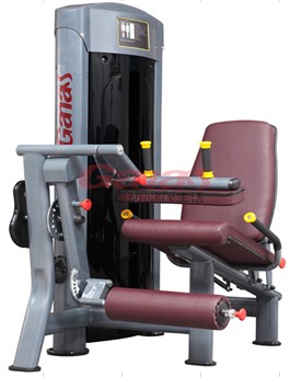 Leg Extension Machine