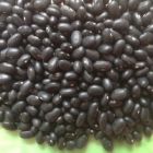 Black Kidney Bean