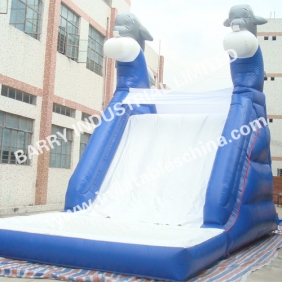 Inflatable Slide