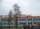 Huadong Entertainment Equipment Co., Ltd.