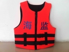 Life Vest