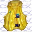 Life Vest