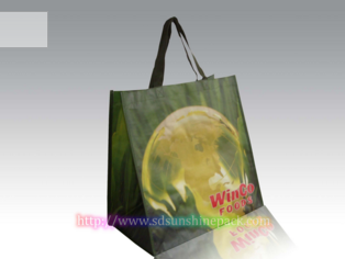 Carrier Bag