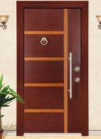 STEEL DOOR