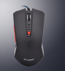 Computer Mouse