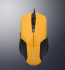 Computer Mouse