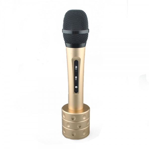 Microphone