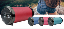 Computer Speakers