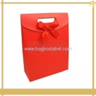 Gift Bag