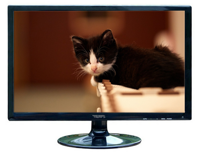 LCD Monitor