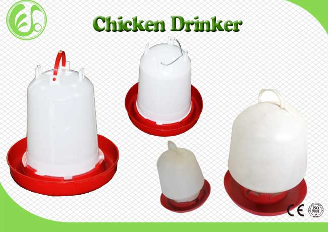 Animal Feeder Equipment