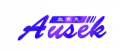 Shenzhen Ausek Technology Co., Ltd.