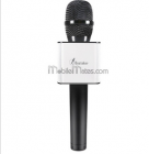 Wireless Microphone