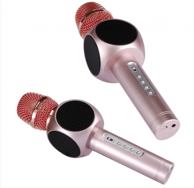 Microphone