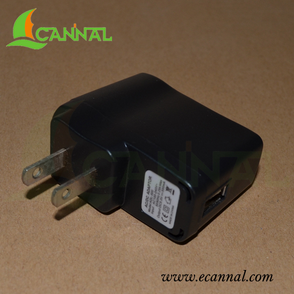 Electronic Charger