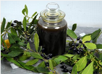 Leaf Seed Oil