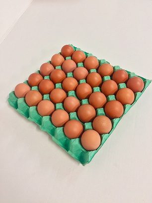 Connollys Free Range Corn Fed Egg's (Large loose 30's)