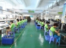Shenzhen Youngpower Technology Limited