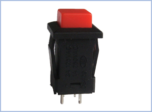 Push Button Switch