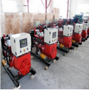 Weifang Naipute Gas Genset Co., Ltd.