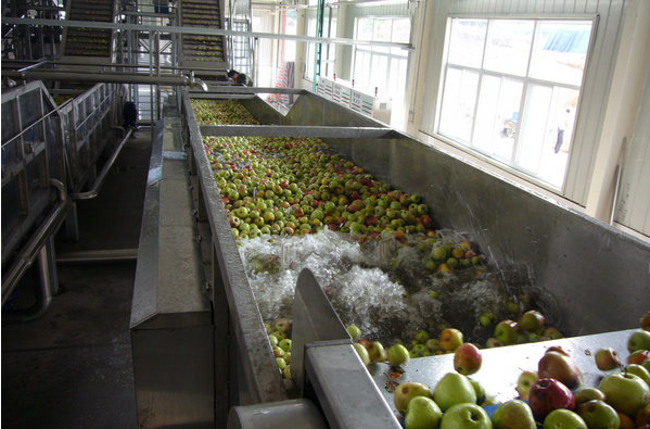 Fruit And Vegetable Washer