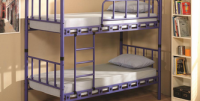 Bunk Bed--Zambak