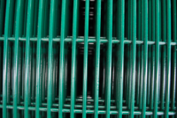 Painted Welded Wire