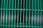 Painted Welded Wire
