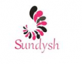 Guangzhou Sundysh E&F Accessories Co., Ltd.