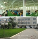 Wenzhou Sinmors Paper Products Co., Ltd.