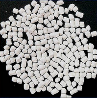 Inorganic Filler Masterbatch-EC21C
