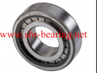 Roller Bearings