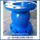 Check Valves