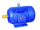 AC Induction Motor