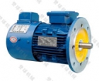 AC Synchronous Motor