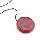 Seal Tag-ST002