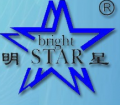 Linyi Bright Star Food Machine Co., Ltd.