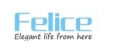 Guangdong Felice Electric Appliance Co., Limited