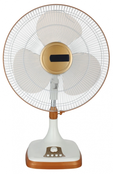 Fan