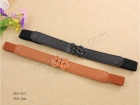 Elastic Belts