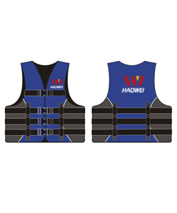 Life Vest