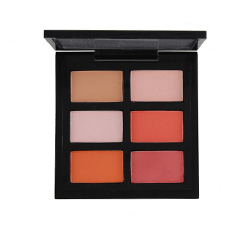 6 color blusher palette