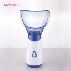 Handheld Facial Steamer