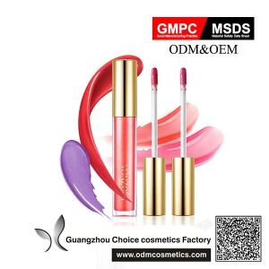 Popular Design Hot Selling Cosmetic Lipgloss