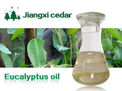 Eucalyptus oil