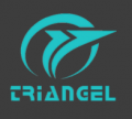 Baoding Triangel Rsd Electronics Technology Limited