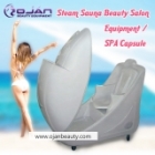 Steam sauna beauty salon equipment /SPA Capsule