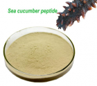 Sea Cucumber Extract