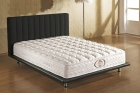 Rolled Mattress (21PB-01)