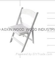 Folding Resin Chair (AX-BF-WO)